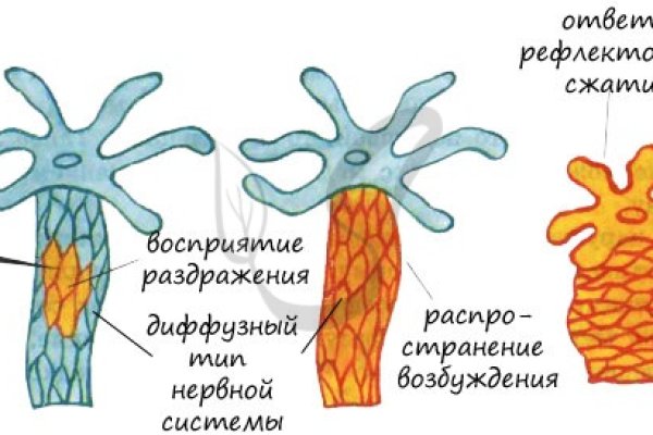 Кракен даркнет официальный